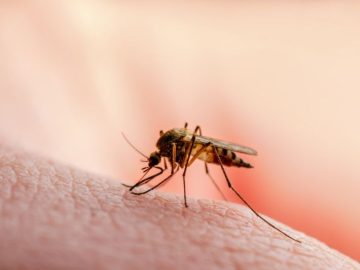 طرق آمنة لحماية طفلك من لدغات الناموس أثناء النوم وضمان راحته