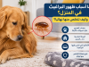 البراغيث في المنزل وأسباب ظهورها وطرق التخلص منها